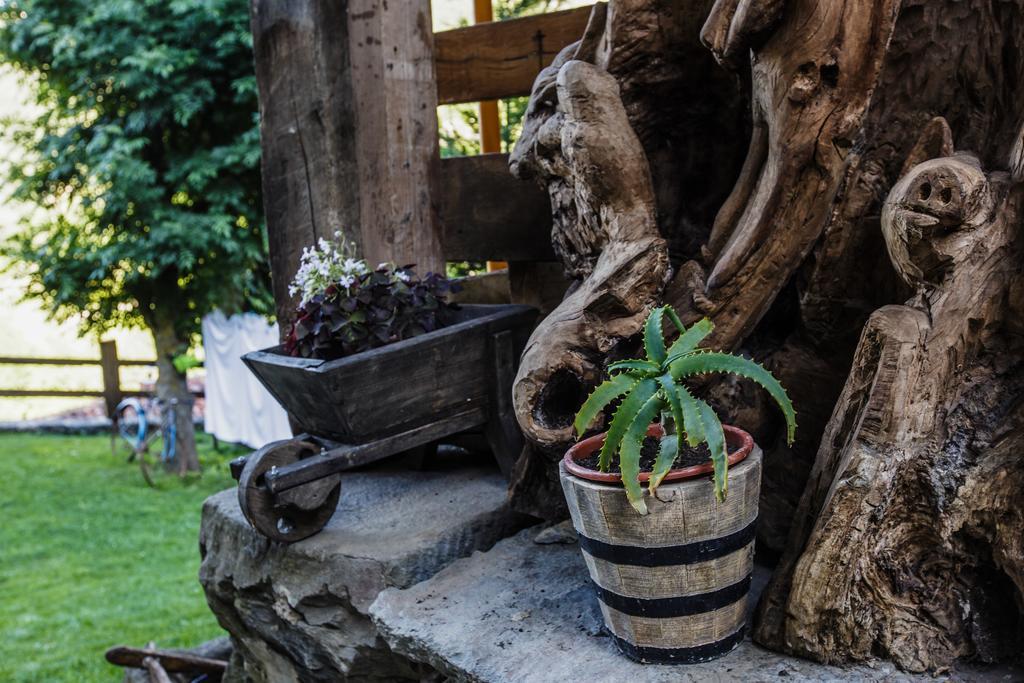 La Posada De Cucayo Dobres Bagian luar foto