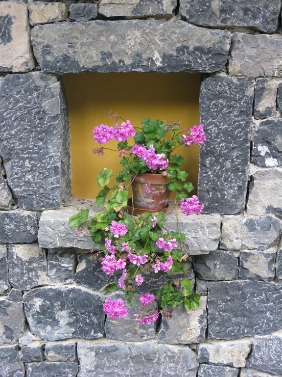 La Posada De Cucayo Dobres Bagian luar foto