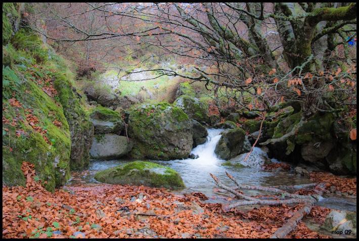 La Posada De Cucayo Dobres Bagian luar foto